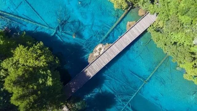 九寨沟高速通车时间，四川九寨沟至绵阳高速平武段、沿江高速会理至会东段建成通车