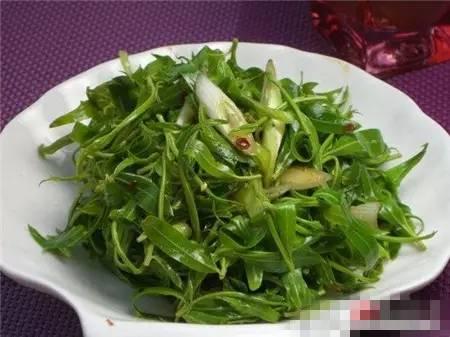 南京春天吃的野菜，比王宝钏更懂野菜的，是南京人