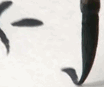 疒这个偏旁怎么读，疒偏旁的所有字（原来这些偏旁也是汉字）
