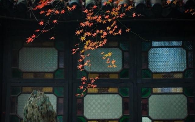 午安心语171005：虽然你很好，但是我也不差
