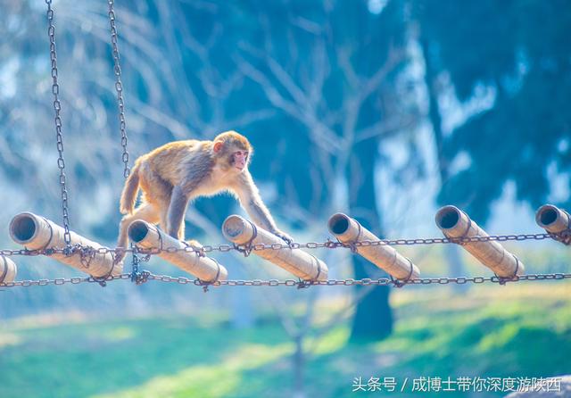 西安5a景区名单，西安旅游五大必去景点有哪些
