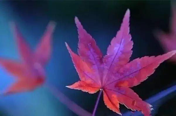 晚安文字171004:有深度才有保留,有珍惜才有拥有