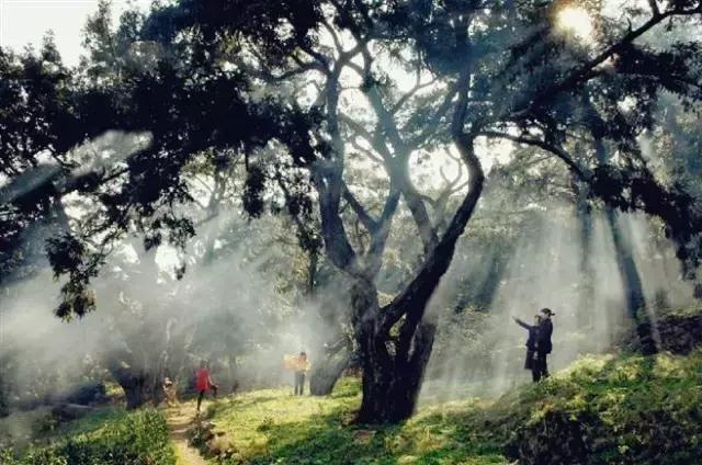 诸暨市有哪几个风景名胜区，省级景区镇！诸暨又增5个！