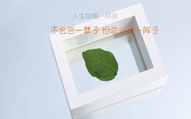 早安心语正能量171006：当初选择安逸懒惰，那就承受今天的平庸艰难