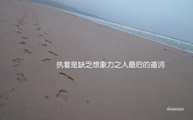 2020最新早安心语正能量语录：愿你抓紧机会，珍惜每一个现在