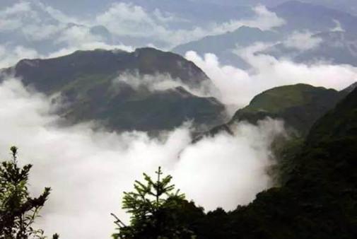 遵义凤凰山森林公园攻略，雨水，遵义，凤凰山