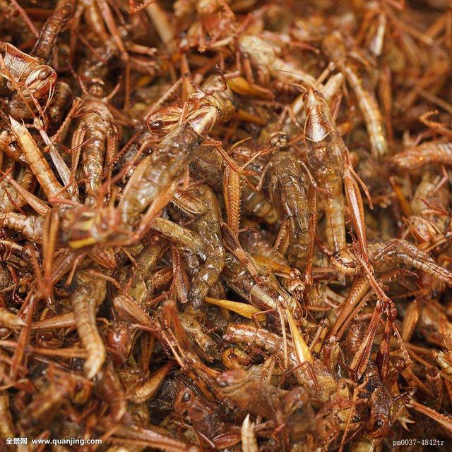 汉匈之战移出历史课本，陕西历史教授提出《出师表》宣扬愚忠