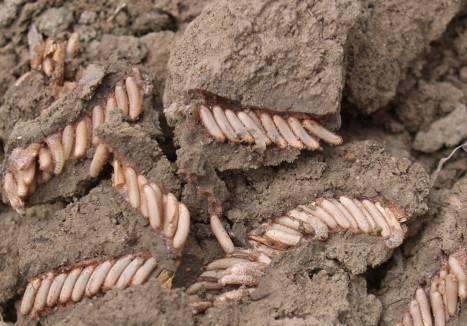 汉匈之战移出历史课本，陕西历史教授提出《出师表》宣扬愚忠