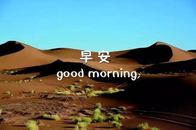 早安图片大全171010：可以孤单，但不许孤独