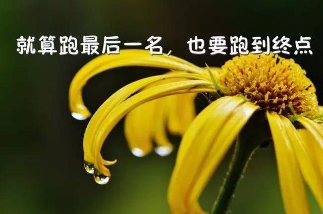 早上好正能量语录：奔跑着追求目标是一种境界，竭力地挑战极限是一种快乐