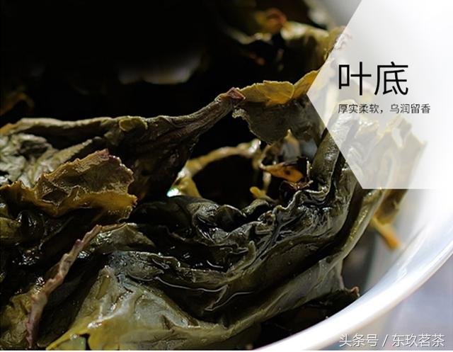 福建高山大叶乌龙茶铁观音，茶中珍品31安溪铁观音