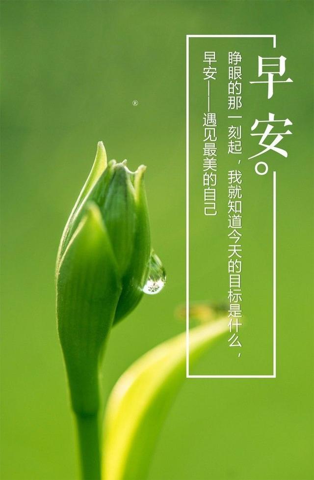 早安心语正能量171011：让勤奋打败懒惰，让坚强打败脆弱