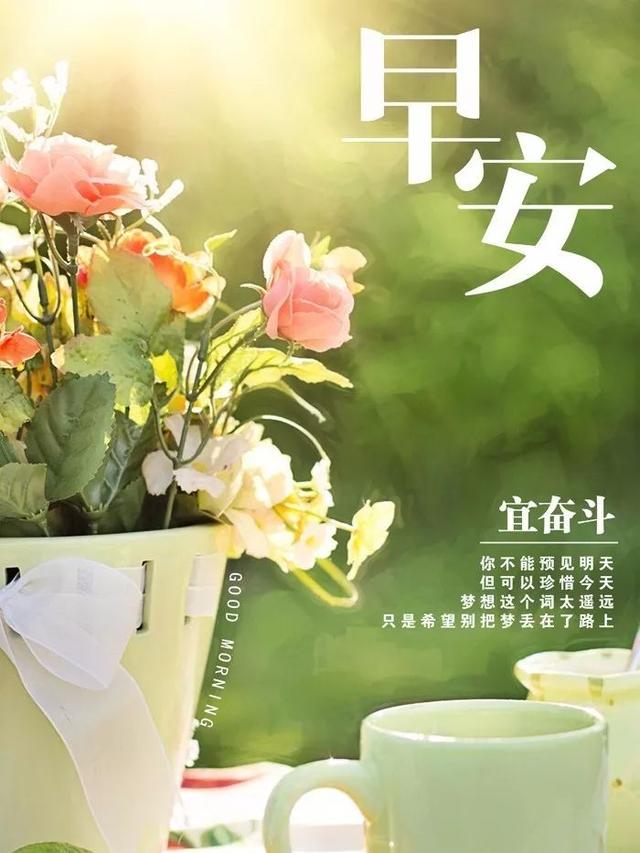 早安心语正能量171011：让勤奋打败懒惰，让坚强打败脆弱