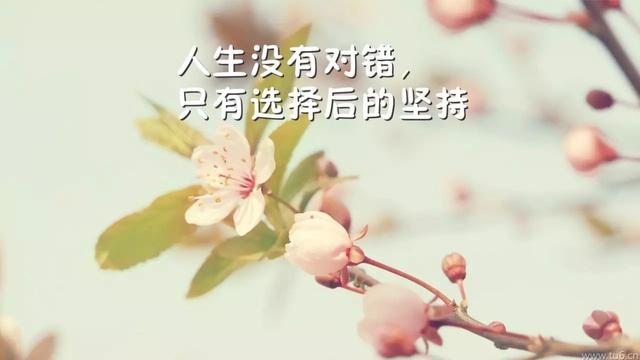 早安心语正能量171012：泪水中成长，拼搏中展望