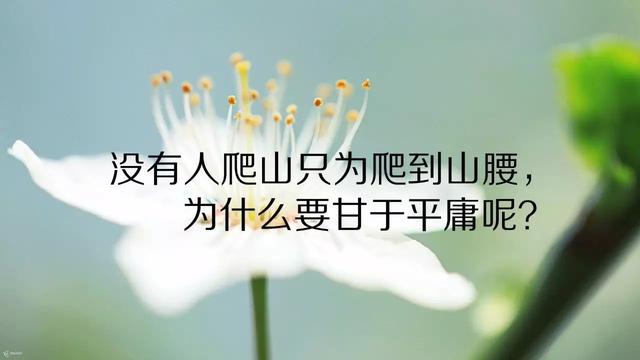 早安心语正能量171023：逆境使人成熟，绝境使人醒悟