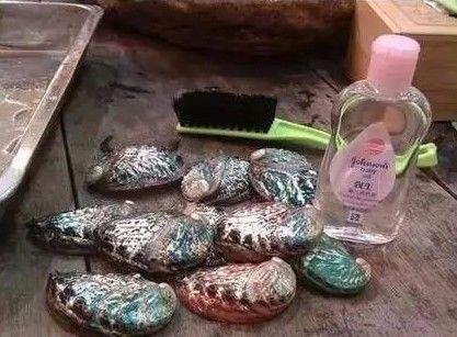 鲍鱼的壳能做成什么，吃过的鲍鱼壳别扔了