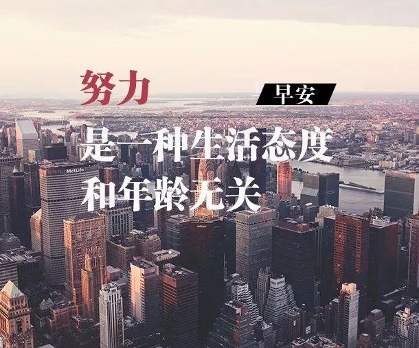 晚安正能量171013：不退缩，不动摇