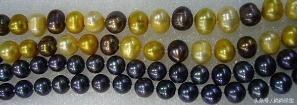 海水珍珠和淡水珍珠的区别，淡水珍珠和海水珍珠的区别在哪里（为什么在国外海水珍珠产地）