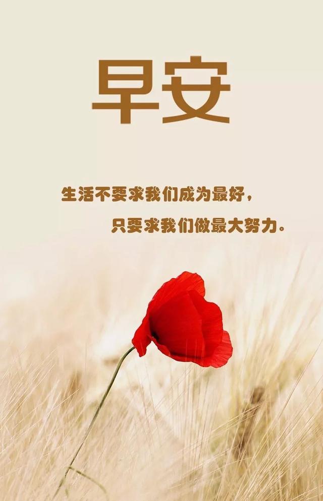早安励志句子图片171014：纵有疾风来，人生不言败