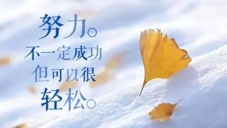 早安励志句子图片171014：纵有疾风来，人生不言败