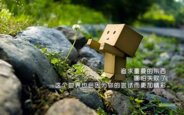 早安心语正能量171015：用执着守候成功，用努力打造精彩