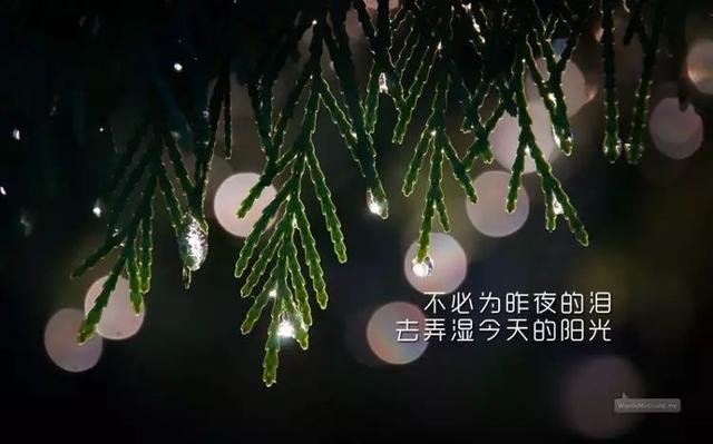 早安心语正能量171015：用执着守候成功，用努力打造精彩