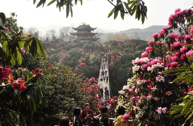 贵州有哪些地方，贵州必须去的十个地方