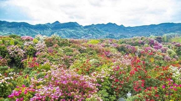 贵州有哪些地方，贵州必须去的十个地方