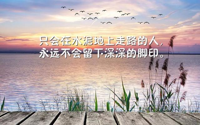 早安鼓励语录图片171016：谈什么苦抱什么怨，撸起袖子就是干