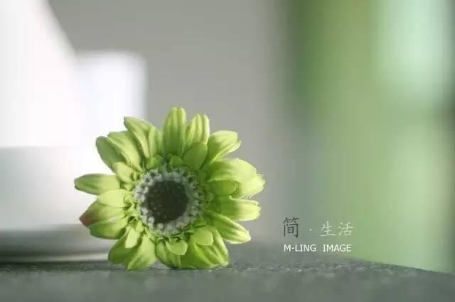 早安句子171015：岁月告诉我的那些话