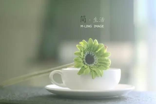 早安句子171015：岁月告诉我的那些话