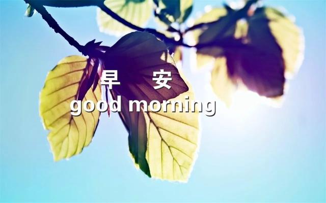 早上好的问候句子，问候早上好的好句子
