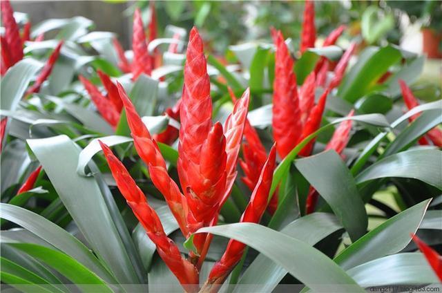 30秒找出你家客厅财位在哪，家中客厅哪个地方是财神位