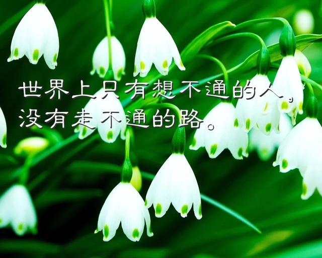 正能量早安说说短句：与其羡慕他人坚强，不如自己百炼成钢