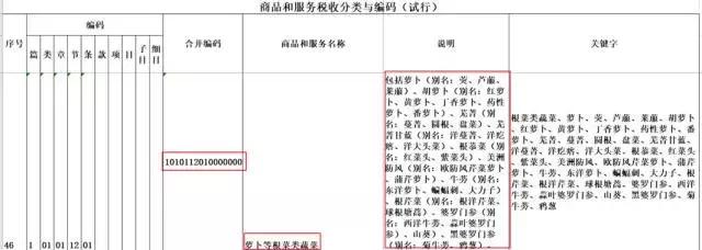 青岛增值税发票，开具发票单位下的数字怎么填写（青岛税务：大数据分析立新功）