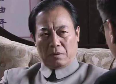 最冷门的十部谍战剧每部都是经典，十个谍战片常驻反派演员