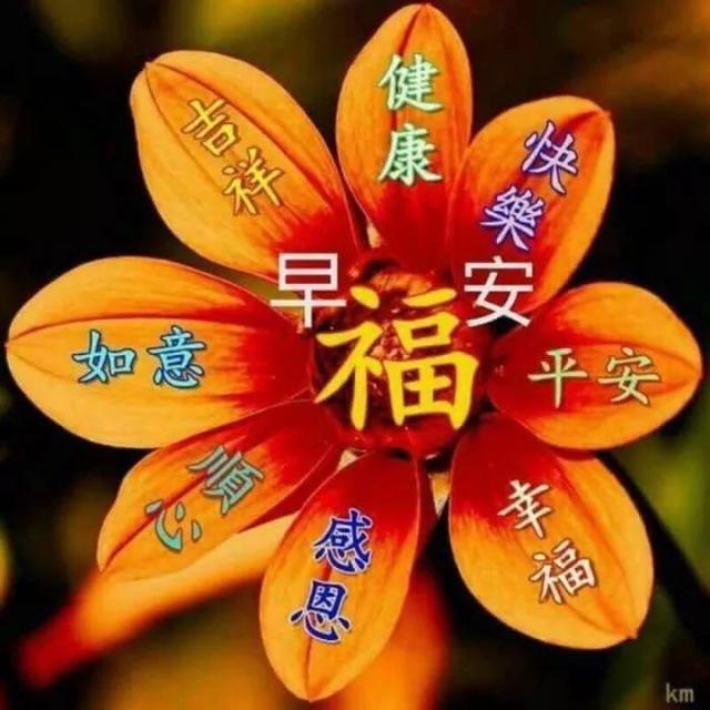 带文字的早安祝福图片，早安图片祝福