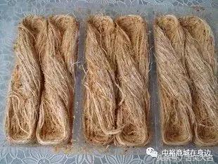 滨州十大美食小吃，大滨州特色美食小吃汇总