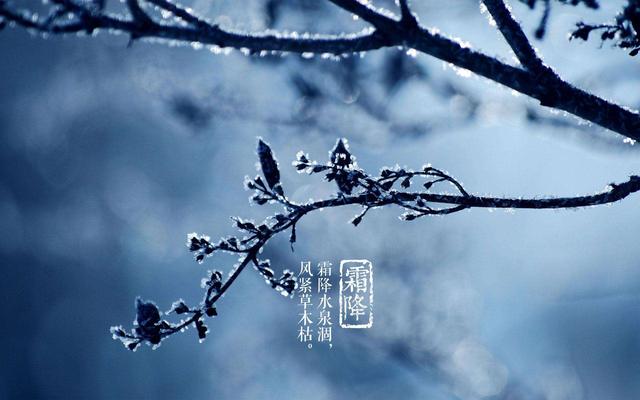 你知道地气吗，地气的常识