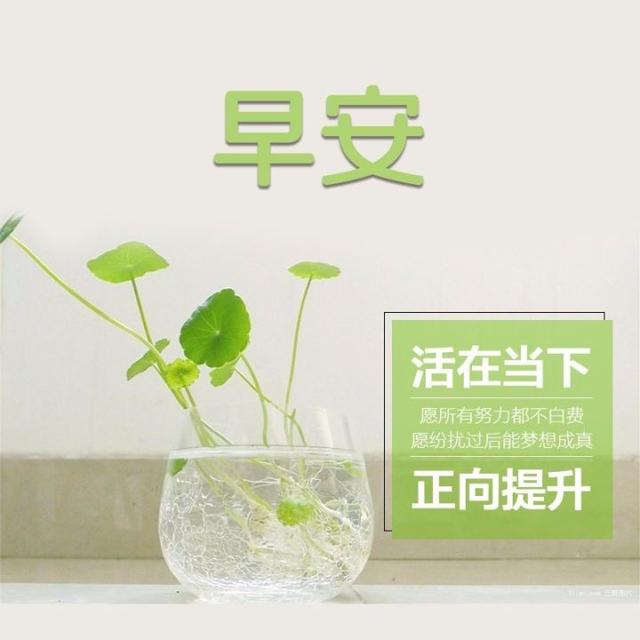早安心语正能量：前进的理由只要一个，后退的理由却有一百个