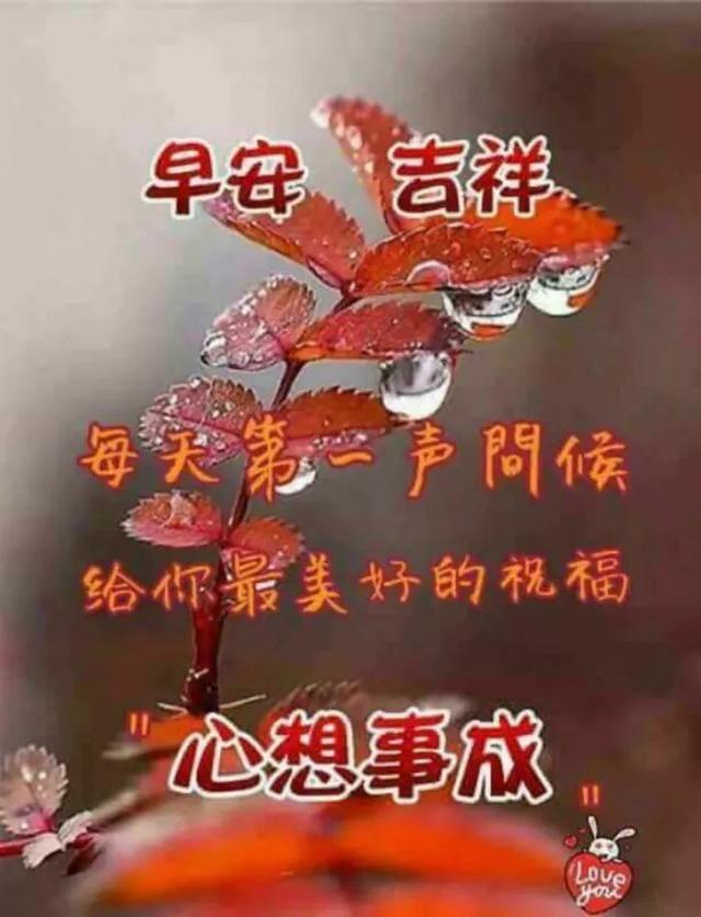 早上好的问候短句带祝福的图片