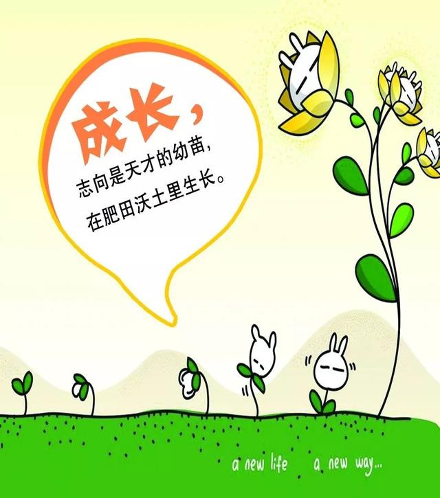 早安心语正能量171031：努力本就是年轻人应有的状态