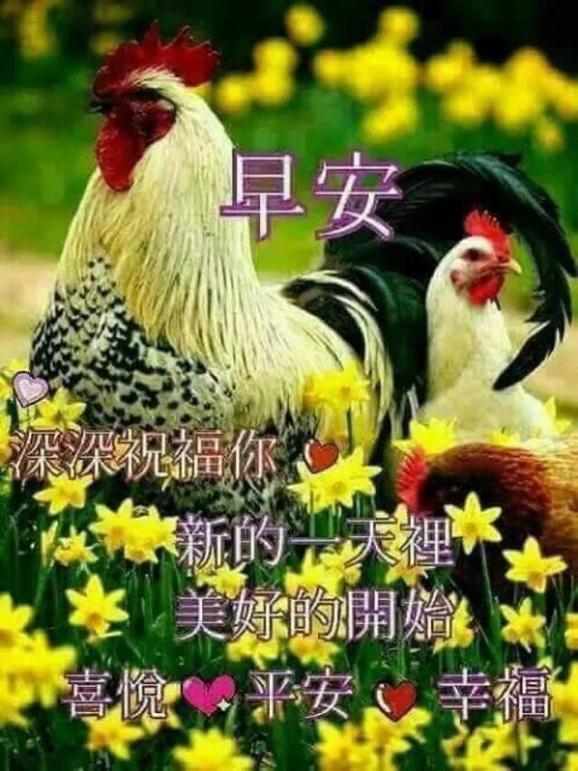 早上好的问候短句带祝福的图片