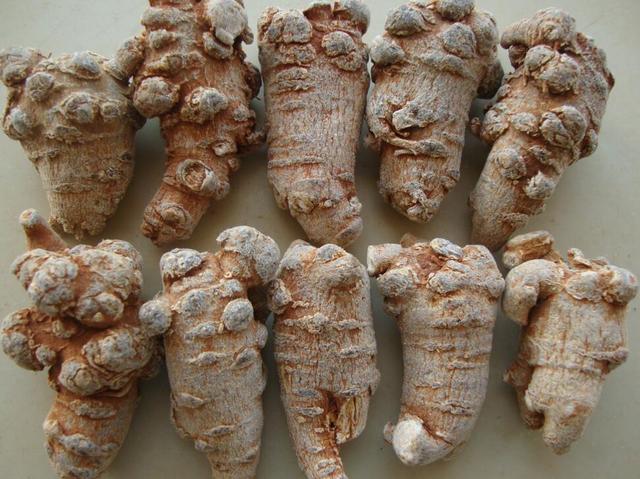 三七的正确吃法，野生三七的正确吃法（老妈教我三七的食用方法）