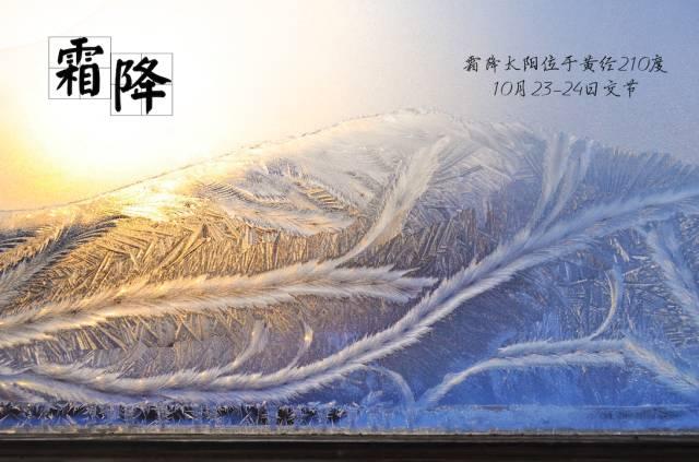 关于霜降的美文美图：霜降守心