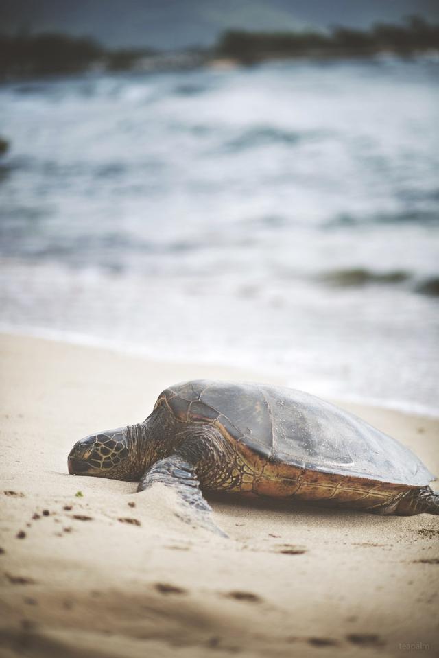 早安美图171026：感动代替不了感情，念旧也回不到曾经