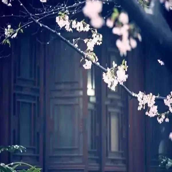 父母尚在人生且有归途珍惜当下，孩子是父母后半生唯一的观众