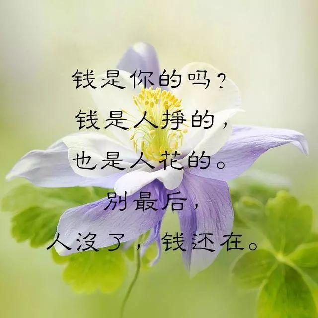 带字图片171026：忙了一辈子，到底什么才是你的呢？