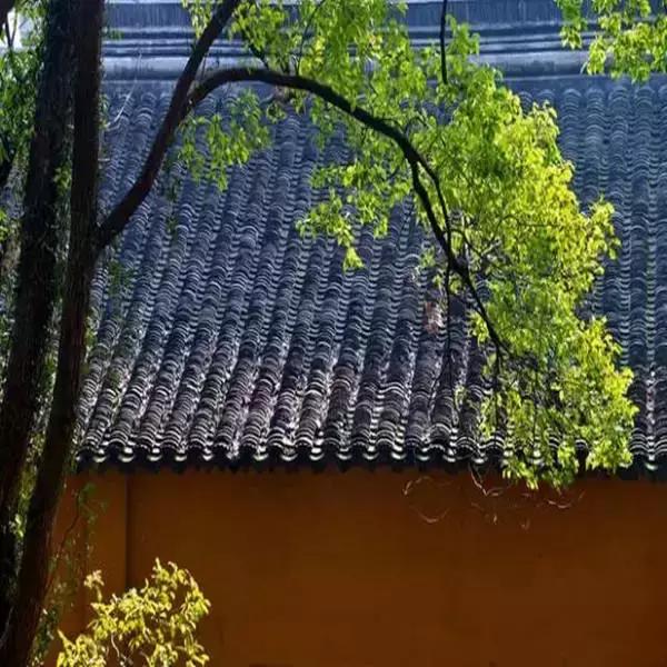 父母尚在人生且有归途珍惜当下，孩子是父母后半生唯一的观众