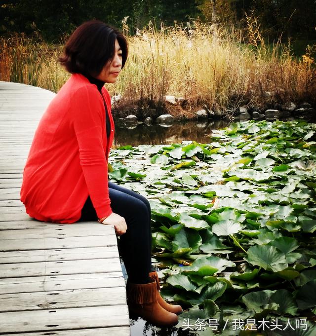 沈阳长白岛湿地公园，一叶知秋沈阳长白岛森林公园